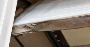 damaged commercial garage door bottom seal torn away from overhead door retainer